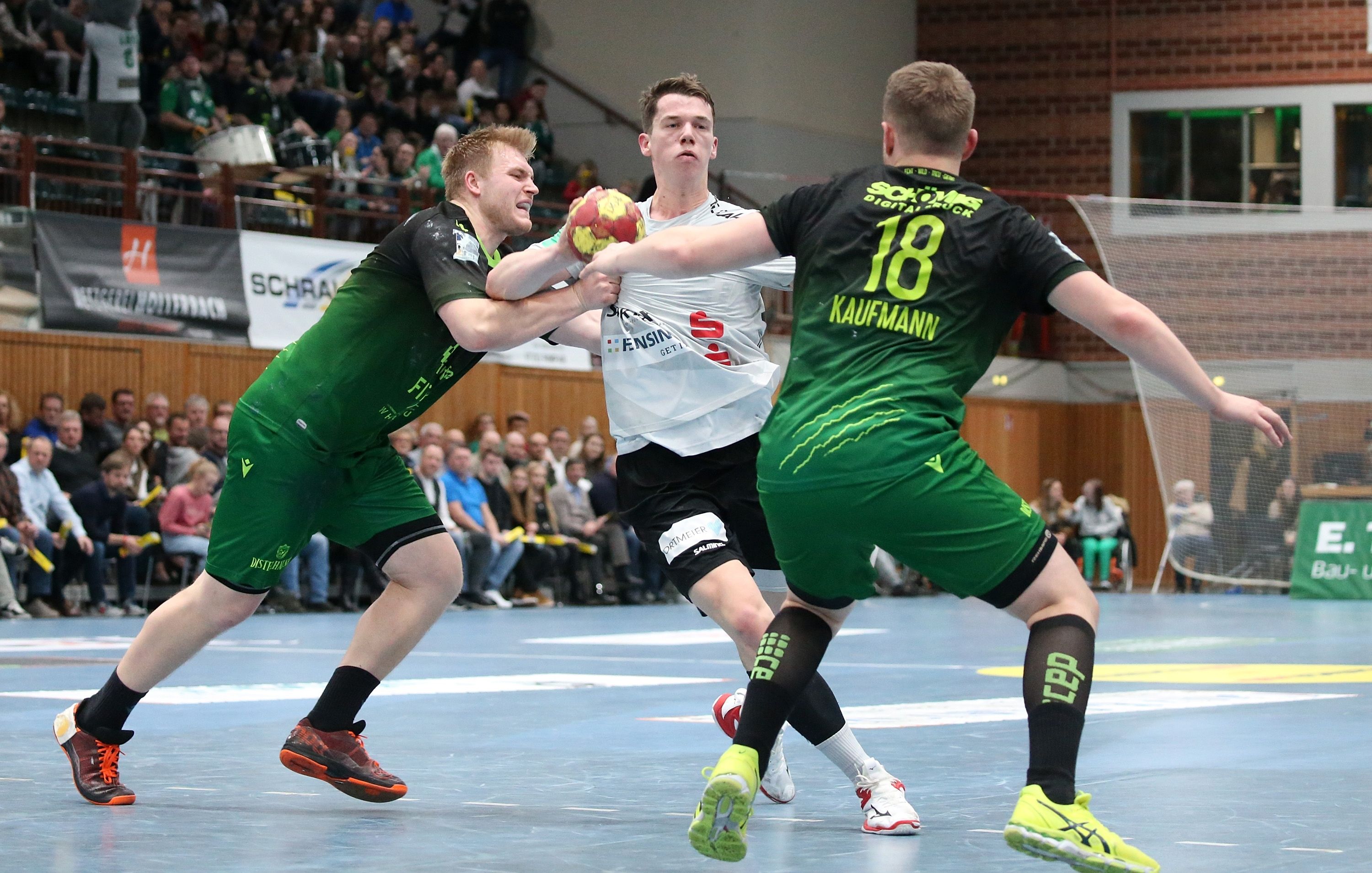 2. Handball-Bundesliga, DJK Rimpar Wölfe – TV Emsdetten